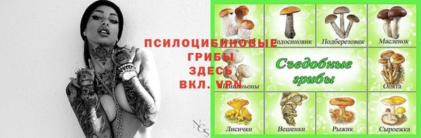 шишки Аркадак