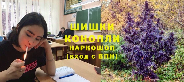 шишки Аркадак