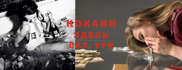 шишки Аркадак