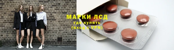 шишки Аркадак