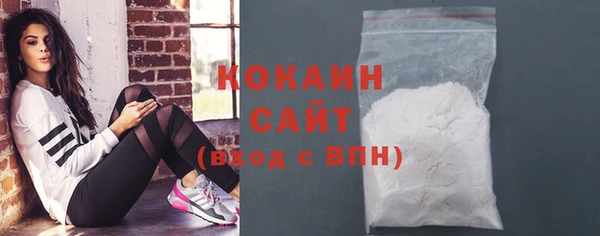 шишки Аркадак