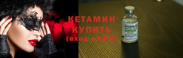 шишки Аркадак