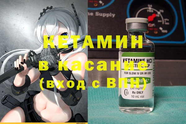 шишки Аркадак