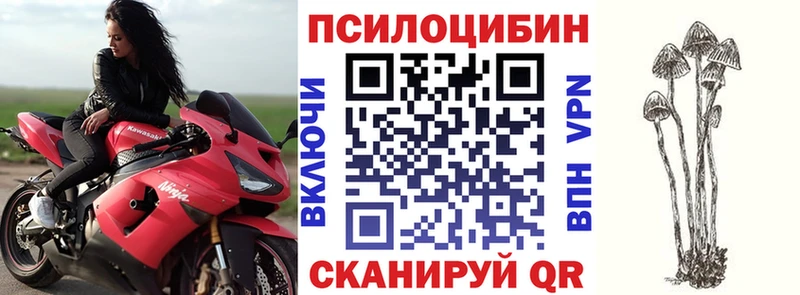 Галлюциногенные грибы MAGIC MUSHROOMS Ржев